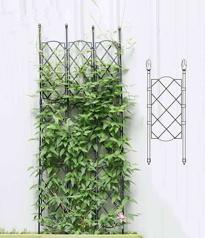 Garden Trellis for Climbing Plants W 6.2/18.3 Plant Support Screen Trellis for Flowers Vine Vegetable Indoor Outdoor(Size:135CM-53.1inchColor:16CM-6.2inch)