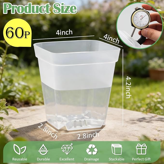 60 Pcs Clear Square Nursery Pots 4 Inch Reusable Seedling Pots with Drainage Holes Transparent Small Plant Potting Pot Containers for Seedlings Microgreens Flowers Indoor Gardening