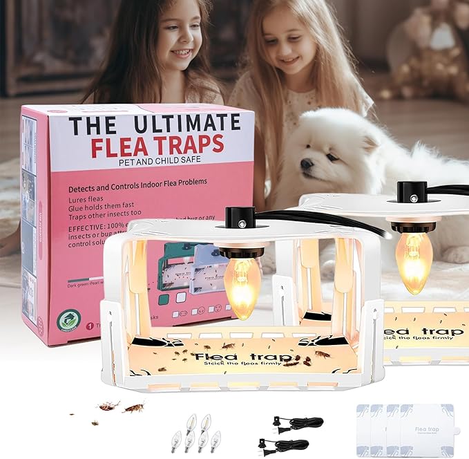 Flea Traps for Inside Your Home 2 Packs Flea Trap with Light for Indoor Bed Bug Flea Killer Pest Control Non Toxic &amp Harmless Friendly to Pets &amp Kids with 6 Sticky Refills and 6 Lightbulb