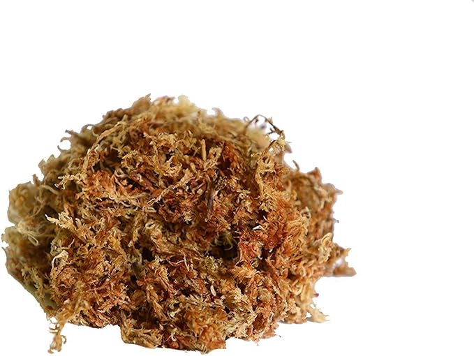 Peruvian Moss: Organic Sphagnum Moss for Orchids Succulents Indoor Plants &amp Reptile Substrate - 1 Kilo