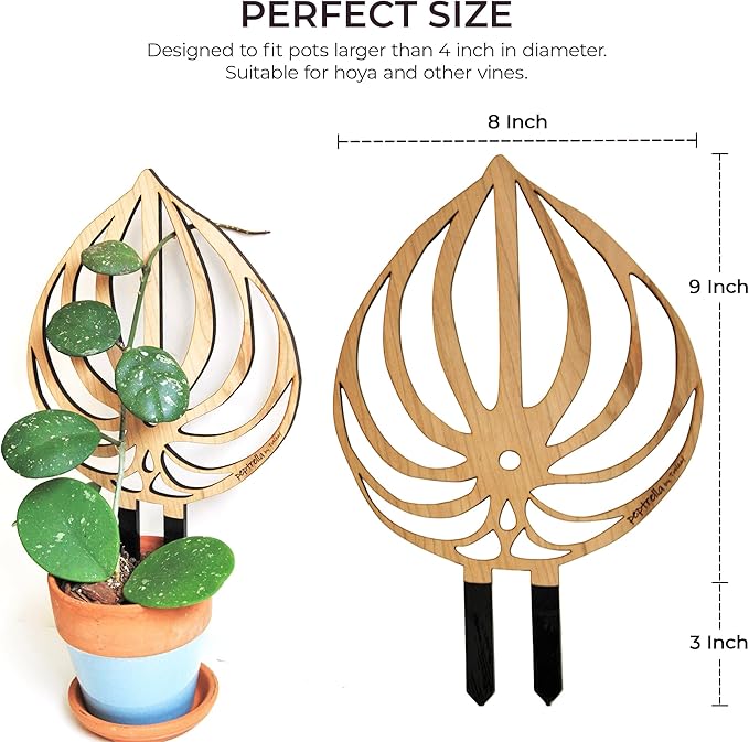 Treleaf Peptrella Watermelon Peperomia Inspired Wooden Trellis – Petite Size 9 Indoor Plant Support for Hoyas and Climbing Plants – Decorative Houseplant Trellis and Wooden Plant Stake