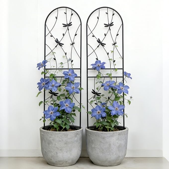 2 Pack Large Garden Trellis Heavy Duty Rustproof Iron Plant Trellis for Potted Plant Support Metal Climbing Rose Trellis Vine Vegetable Cucumber Black -71 H x 19.7 W