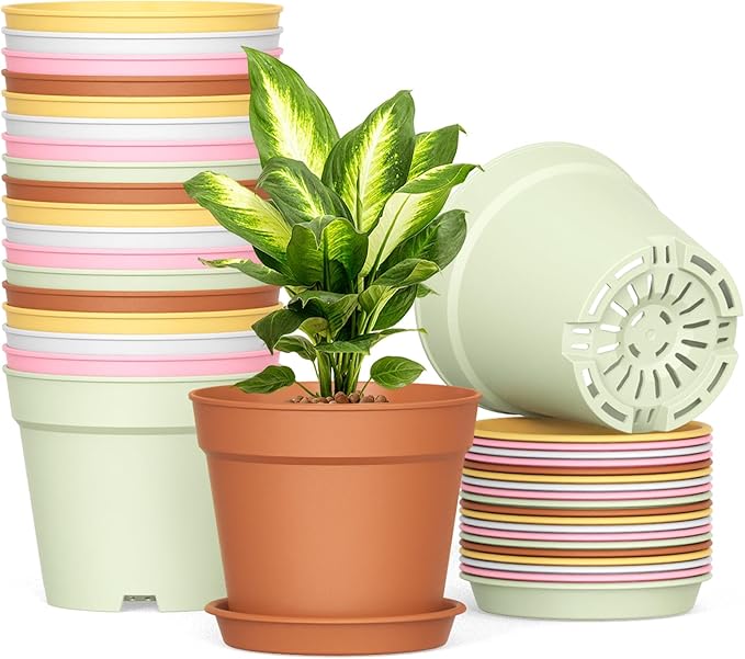20 Pack 6 Inch Plant Pots with Drainage and Saucers White Plastic Flower Pots for Indoor and Outdoor Plants Stackable Nursery Planters for Houseplants and Herbs Colorful