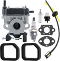 RB24EAP 6698373 RB24EA (S) RB24EA RB24EAS Carburetor for Hitachi RB24EAP 23.9cc Leaf Blowers Carb with Air Filter Kit