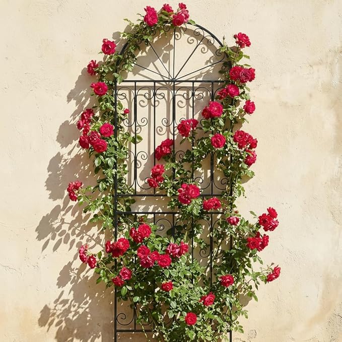 SCENDOR 1 Pack 82.7 H x 26.7 W Extra Tall Arched Metal Garden Trellis - Heavy-Duty Black Iron Scrollwork Fence for Climbing Vines Roses and Ivy - Decorative Privacy Screen for Patio and Backyard