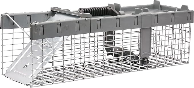 Havahart Small 1-Door Humane Live Catch and Release Animal Trap for Squirrels Weasels Chipmunks and Other Animals - Humane Catch and Release for Small Animals - 1026