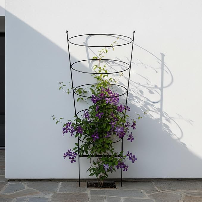 Ovals Wrought Iron Garden Trellis Modern Retro Vertical Plant Support Freestanding for Vines 60.75 H x 30.5 W Black Powdercoated