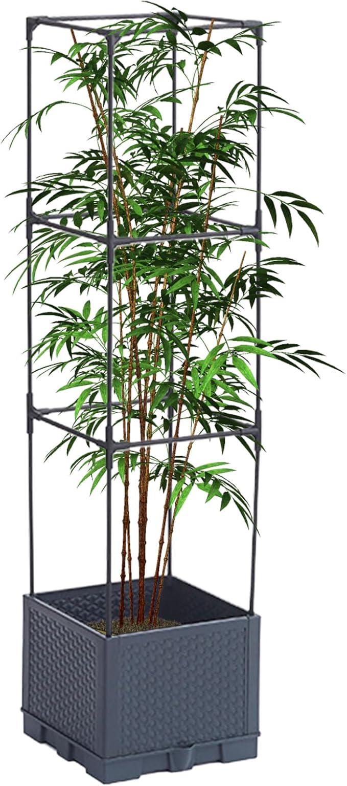 Planter Raised Beds | with Trellis Self-Watering Cage - Outdoor Plant Raised Garden Bedsfor Tomato Cucumber Pea Grape Vines Vegetable Flower Fruit Potted Indoor
