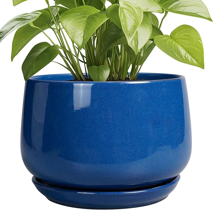 G EPGardening Ceramic Pots for Plants 9 Inch Modern Round Planter with Drainage and Tray Indoor Outdoor for Flower Patio Decor Housewarming Gifts Blue