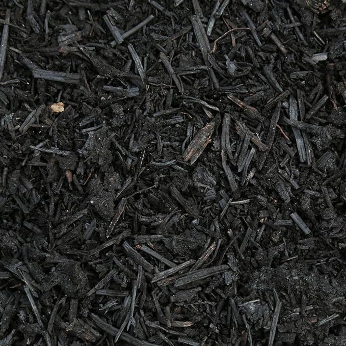 Heirloom Roses Mint Compost100% NaturalTop Soil Amendment for Rose Planting Rich in Micronutrients and Nitrogen for Garden Vegetables and Flowers 7 Quart Box