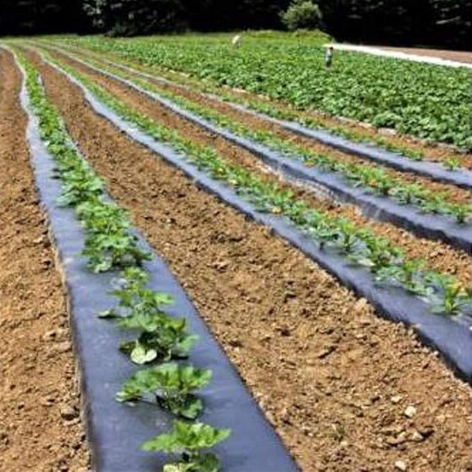 1pcs Perforated Mulch Weed Control 4.5cm Hole Agriculture Film Breeding Mulch Veg Patch for Tomato Strawberry Growth Punch(0.95x50m)