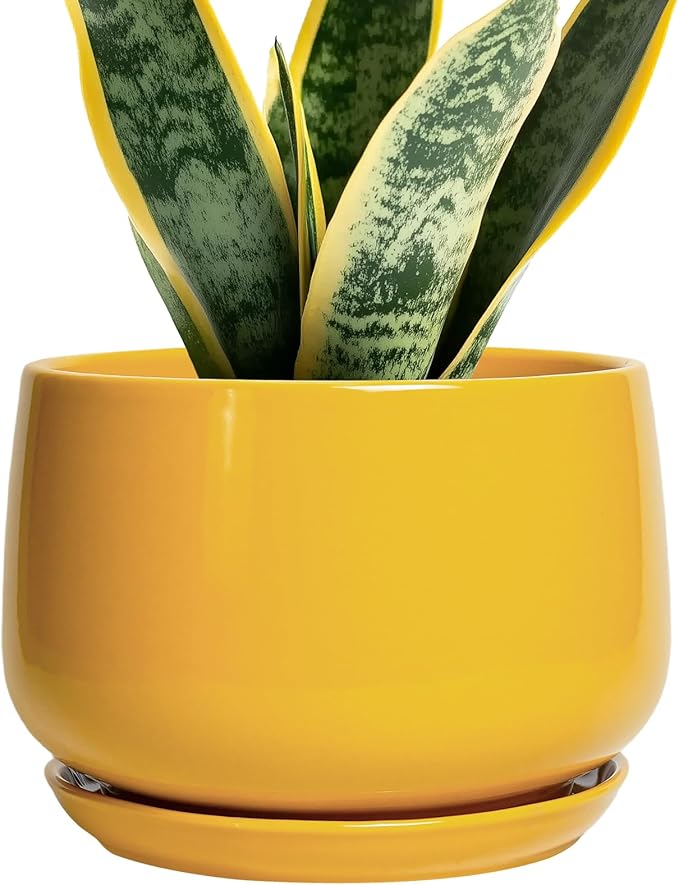 G EPGardening Ceramic Pots for Plants - 7 Inch Plant Pot with Drainage Hole and Saucer Modern Ceramic Planter for Indoor Outdoor Round Flower Planter Gifts for Plants Lovers Home Decor Yellow