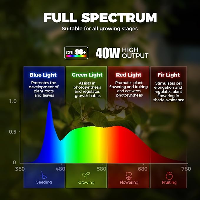 Barrina TR40a Track Grow Light for Indoor Plants 40W Wall-Mounted Grow Bulbs with Adjustable Beam Angle (15°-60°) 5000K Full Spectrum Plant Spotlight with Timer &amp 16.4' Power Cord 1-Pack