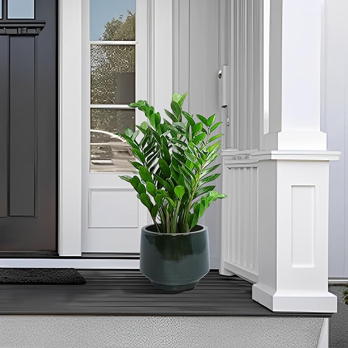 Handmade Solid Glaze Ceramic Planter Set of 3 15119 Inch Diameter No Pattern for Monstera and Fiddle Leaf Fig Outdoor G Indoor Staircase Use Breathable Clay Dark Green