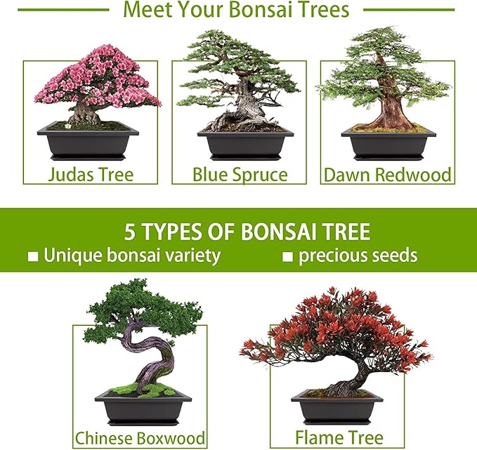 Bonsai Tree Kit with Complete Plant Growing Tools Grow in Pot Indoor Bonsai Tree Starter Kit Home Gardening DIY Gift for Adult
