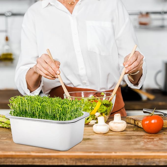 Vesici 4 Pack Sprouting Tray Kit Stainless Steel Soil Free Cultivation Germination Tray Wheatgrass Growing Container Seed Sprouting Container Kit for Indoors Plant Seed Beans Broccoli Arugula