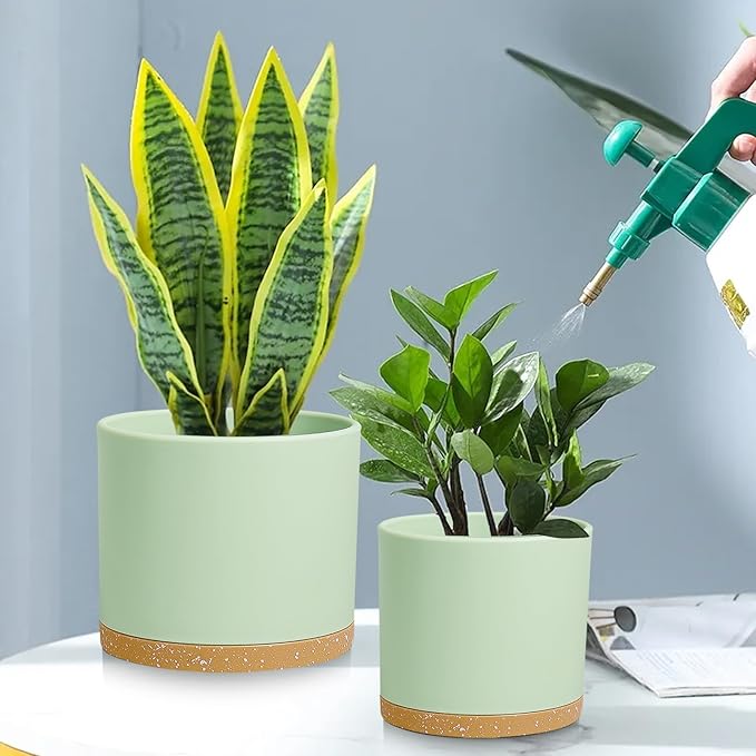 Large Plant Pots Set of 3 – 8 9 10 Indoor Flower Pots with Drainage Holes and Saucers Big Planters for Monstera Fiddle Leaf Fig Snake Plant – 5 Colors