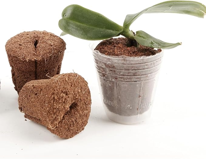 50pcs 1.5 Inch Phalaenopsis Orchid Growing Plugs Hydroponic Growing Media for 1.5 Inch Orchid Cups Breathable Planting Cubes for Orchid Seedlings and Transplanting