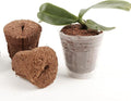 50pcs 1.5 Inch Phalaenopsis Orchid Growing Plugs Hydroponic Growing Media for 1.5 Inch Orchid Cups Breathable Planting Cubes for Orchid Seedlings and Transplanting