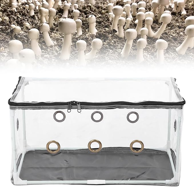 Mycology Mushroom Grow Box High Yield Easy to Use Cultivation Kit for Beginners and Experts Growing Box Oyster Shiitake Button Mushrooms Complete Instructions Tools Ideal Home
