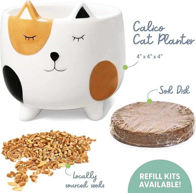 The Cat Ladies Cat Grass for Indoor Cats Cat Grass Growing Kit with Organic Cat Grass Seed Mix Soil and Ceramic Cat Planter Pet Grass for Cats Natural Hairball Remedy Cat Gifts