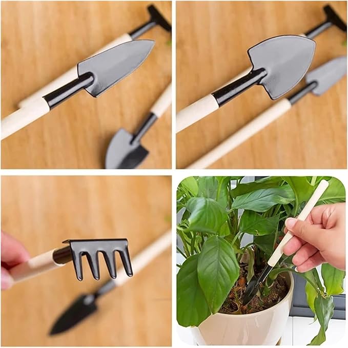 Mini Garden Tool Set 3pcs/Set Gardening Tools Wood Handle Stainless Steel Potted Plants Shovel Rake Spade for Flowers Potted Plant Seed Color : White Size : Whit