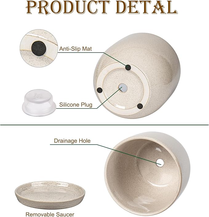 Ceramic Plant Pots 6 Inch + 5 Inch Set of 2 Flower Plants Pot with Drainage Holes and Saucers Tray White Planter Garden Pot for Succulent Cactus Home Decoration Gift Indoor Outdoor