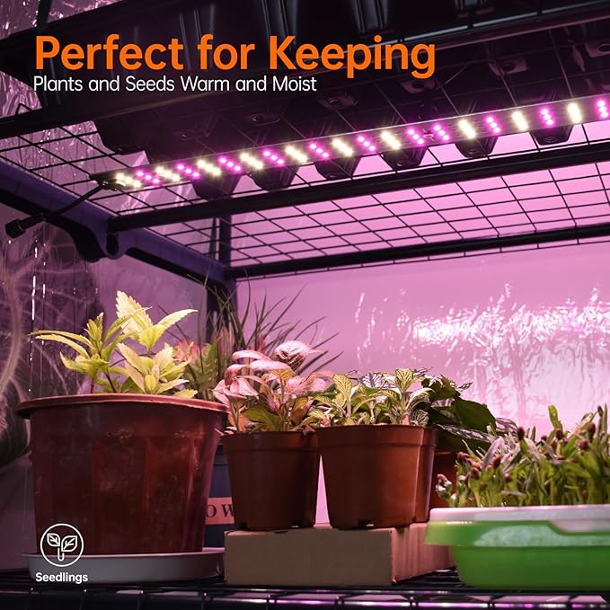 Bstrip Indoor Greenhouse with Grow Lights 4 Tier 27.2 L×19.9 W×61.8 H Mini Greenhouse with Zippered PVC Cover for Seed Starting Trays Dimmable 2FT 60W Plant Light for Indoor Plants with Timer