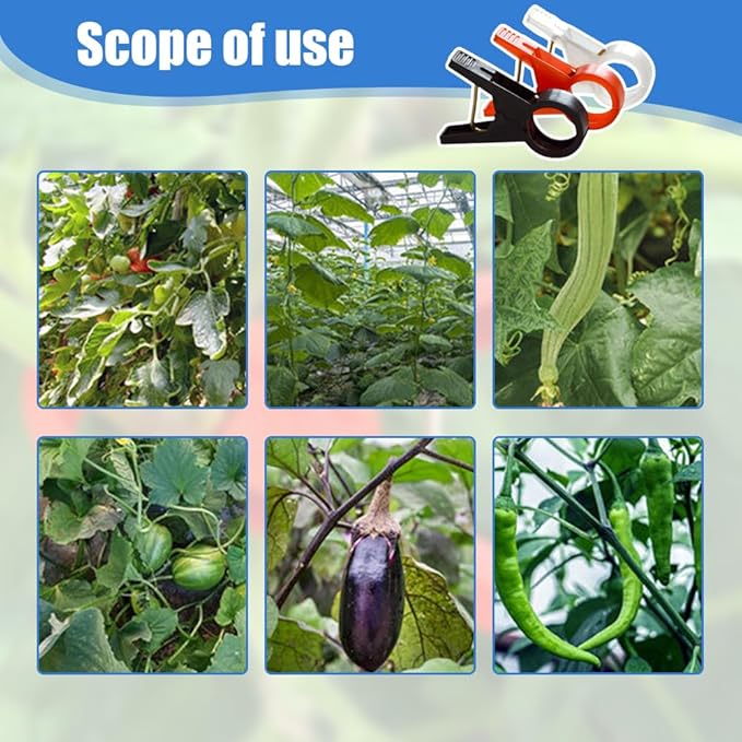 Plant Support Clips Secured Plastic Plant Clips Reusable Garden Trellis Clips for Climbing Plants Outdoors Tomato Grape Vine Vegetables Plant Support Fixing Clips (100 black-3cm/1.2in)