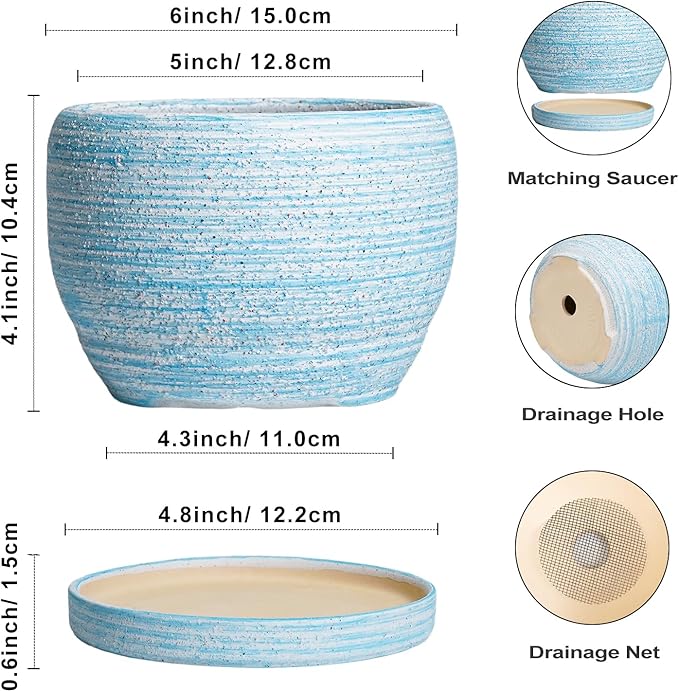 SQOWL Ceramic Planters for Indoor Plants - 6 Inch Plant Pot Indoor Outdoor Decorative Flower Pot with Drainage Hole and Saucer Round Succulent Planter Home Apartment Decor Garden Gifts Blue