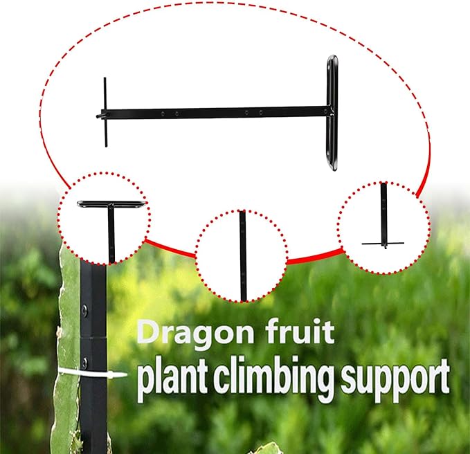 Dragon Fruit Trellis Plant Trellis Garden Climbing Stake Support Potted Plant Support for Fruits