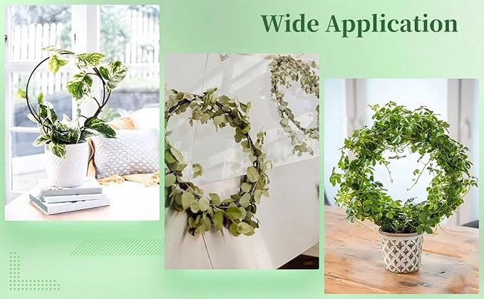 Generic Vines Pothos 12 Pcs Circle Trellis for Climbing Plants 13.4 X 9.4 in Metal Round Trellis Small Indoor Plant Trellis Rustproof Black Metal Support Frame Potted Plants