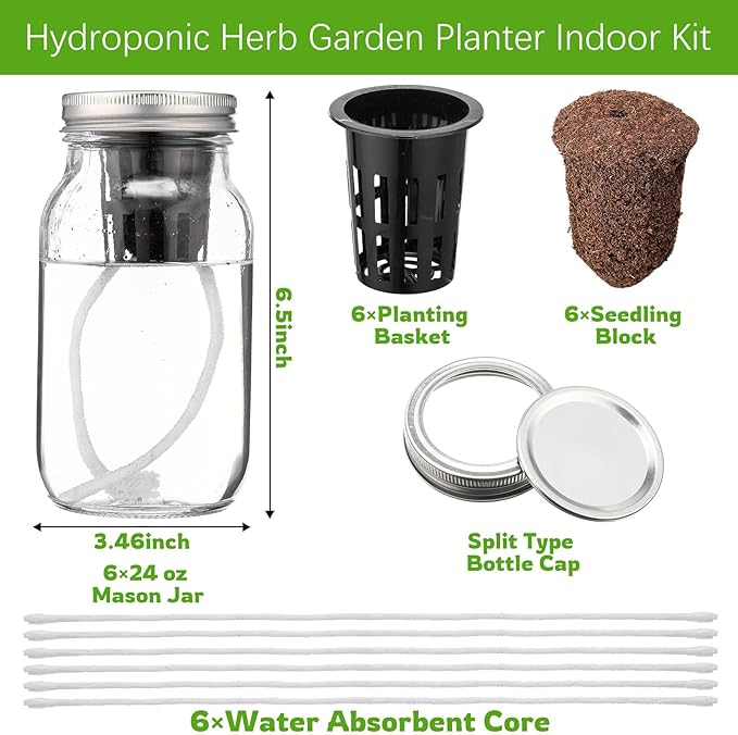 6 Set Hydroponic Mason Garden Jar Kit Self Watering Herb Hydroponic Planter Starter Kit with Net Pot Garden Flower Plant Growing Gift for Indoor Herbs Windowsill Gardening