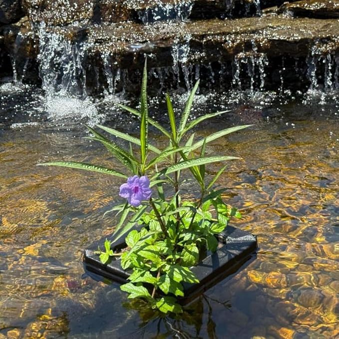 Chalily Aquatic Planting Bundle for Lily Likes Bog Plants Shallow Water Plant Kit Floating Island Kit Pond Water Garden Aquatic Soil Pond Plants (4qt Soil Floating Island)