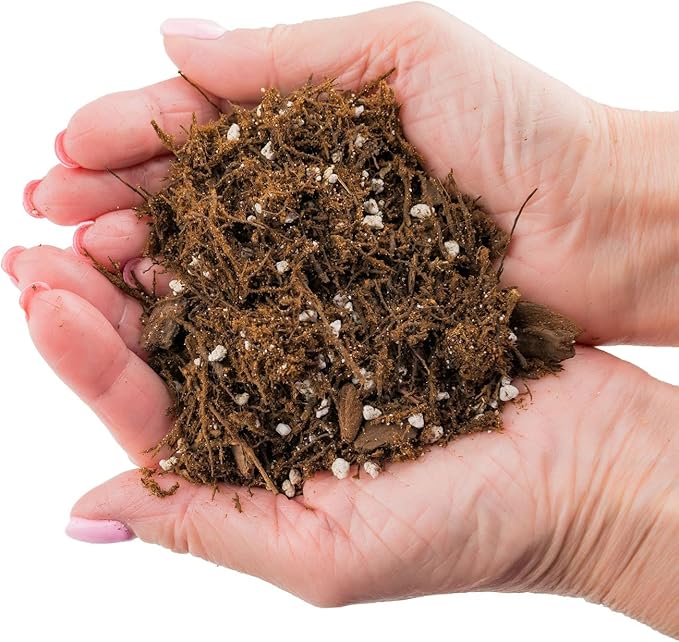 Premium Gardenera House Plant Potting Mix - 20 Quart - Fern + New Zealand Bark + Perlite | Great for Pothos Spider Plants Montsera Philodendron English Ivy (4 Bags of 5 Quart)