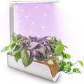 Indoor Hydroponics Growing System with LED Grow Light 9 Pods Adjustable Height Water Indicator Smart Garden Kit