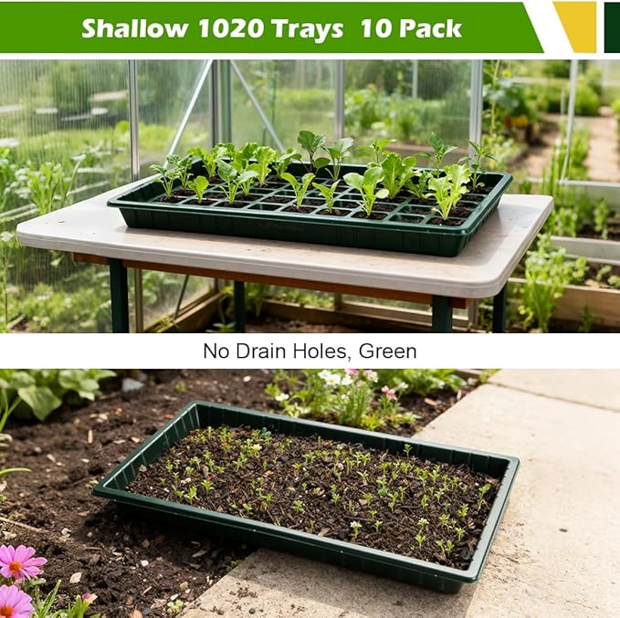 10 Pack Heavy Duty 1020 Trays No Holes - 1.6 Inch Deep Shallow Nursery Flats Reusable Seed Starter Trays for 72/128 Cell Inserts Microgreens Seedling and Hydroponics (Dark Green)