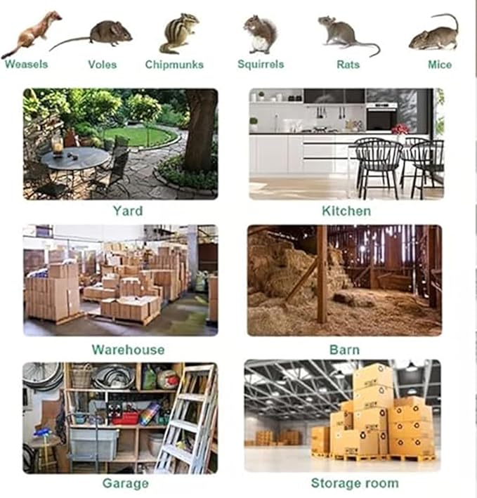 Eaglever Mouse TrapEaglever Stainless Steel Mouse Trap Stainless Steel Continuous Mouse Cage Trap Easy to Set Mice Catcher for Indoor and Outdoor (2)