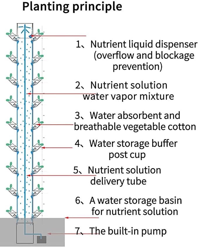Soilless Cultivation Kit - Food-Grade Hydroponics 3-6 Tier Rack - Save Time &amp Water 30% Higher Yields - Ideal for Kitchen Office Windowsill Planting(30holes)