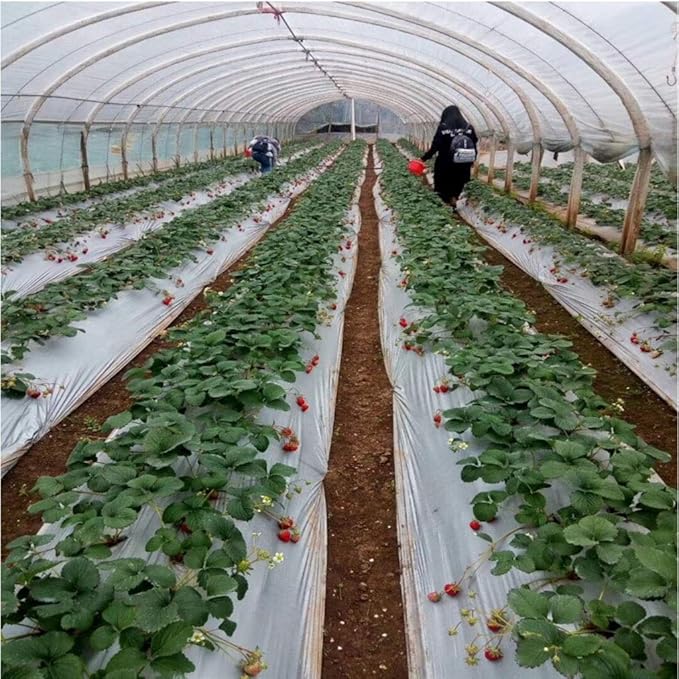 1Pcs 10m Silver Black Plastic Planting Film 0.012mm Thick Agriculture Ground Cover Film Protection Greenhouse Keep Warm Weed Control Mulch Film (Size : 0.8M Width)