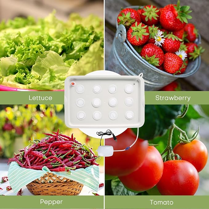 NATGAI Hydroponic System Growing Kit with Air Pump 12 Holes Soilless Cultivation Grow Box Garden Cabinet Box for Herbs Lettuce Vegetables
