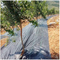 Black Grass Cloth Weed Barrier Woven Grass Cloth for Garden Agricultural Plastic Mulch Thicker Orchard Garden Weeds Control Fabric(1X3m 225g)