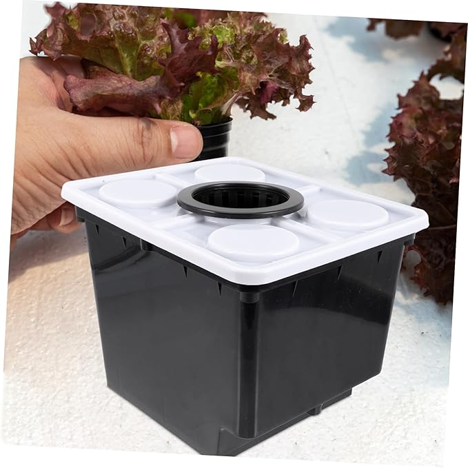 Soilless Hydroponics System Baskets for Indoor Plant Container and Gardening