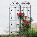 Sturdy Metal Garden Trellis for Climbing Plants – Rust-Resistant Outdoor Plant Support with Decorative Lattice Design (2 Pack-Black)
