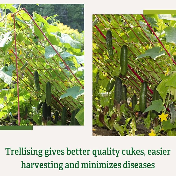 Gardener's Supply Company Cucumber Trellis | Garden Bed Support for Cucumbers &amp Climbing Plants | Outdoor Plant Support w/ 4 Grids for Easy Harvesting | 32 x 48 - Medium (Red)
