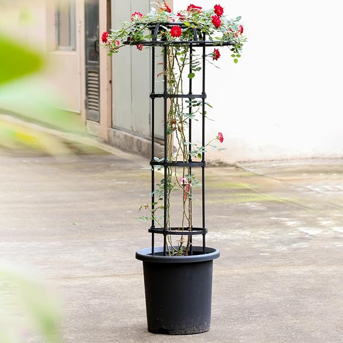 Black Metal Umbrella Garden Trellis 41.3″ 53.1″ 65.0″ Climbing Plant Support Trellise for Indoor Outdoor Flowers Vegetable Fruits Vines(165cm/65.0″)
