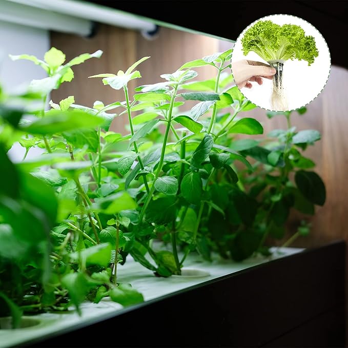150 Pack Grow Sponges Seed Pods Replacement Root Growth Sponges Compatible with AeroGarden Moldy-Free Kit with 10 Pod Labels for Hydroponic Indoor Garden System