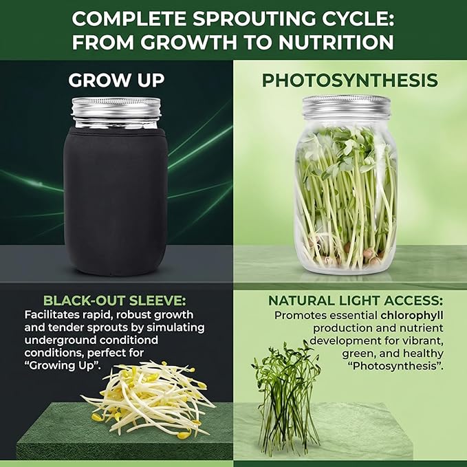 Sprouting Jars Sprouting Jar Kit Complete Seed Jar Kit with Stainless Steel Stand &amp Drip Tray Easy Home Sprout for Microgreens Beans Broccoli
