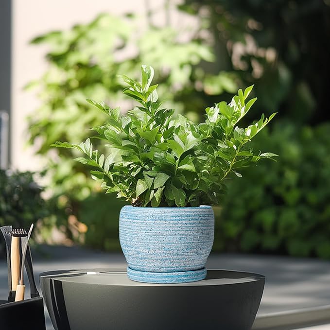 SQOWL Ceramic Planters for Indoor Plants - 6 Inch Plant Pot Indoor Outdoor Decorative Flower Pot with Drainage Hole and Saucer Round Succulent Planter Home Apartment Decor Garden Gifts Blue