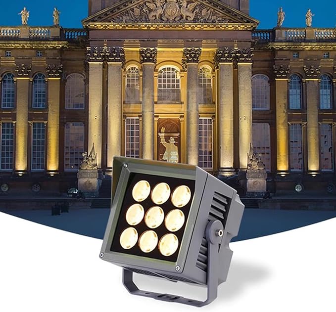 Led Flood Light Outdoor Spotlights Landscape Lamp IP65 Waterproof 180° Rotation LED Spot Light Low Voltage AC/DC24V for Garden Wall Advertising Signs Lawn Lights(Blue12W-DC24V)